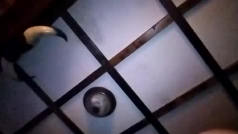 hotloads1992 online show from 01-10-26, 01:18