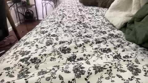 Annabelle online show from 02-04-26, 12:05