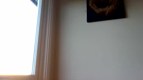 hototo2 online show from 11-25-25, 11:32