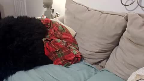 hotpepperose online show from 02-27-26, 02:33