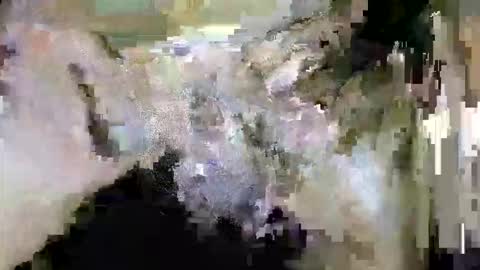 HotShavedCockSoCal online show from 02-25-26, 07:07