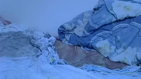 Snapshot of hotsinai_1 chatting on 03-14-26, 12:17 Sexy girl online show from 03-14-26, 12:17