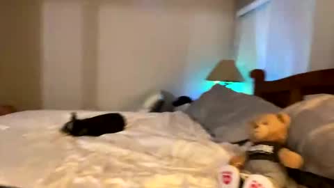 Snapshot of hottiewithabody101 chatting on 04-11-26, 11:53 hottiewithabody101 online show from 04-11-26, 11:53