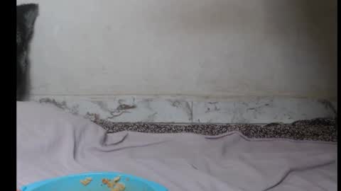 Snapshot of hottylissa1 chatting on 09-26-25, 08:35 hottylissa1 online show from 09-26-25, 08:35