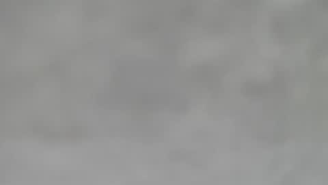 Slutty little female cat online show from 01-31-25, 05:51