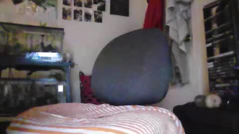 hrnyymff online show from 11-28-25, 05:04