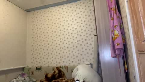 hsiuscherich online show from 01-12-26, 12:10