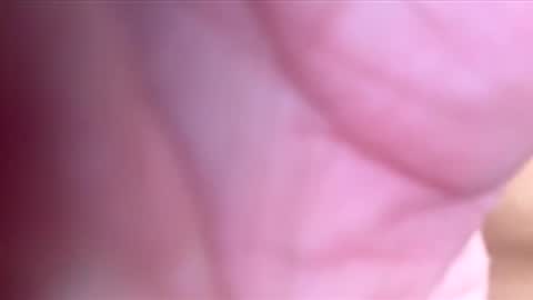 htwnswangn9 online show from 03-03-26, 04:07