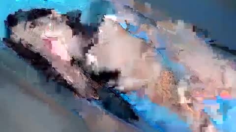 Yhanie online show from 02-03-25, 01:08