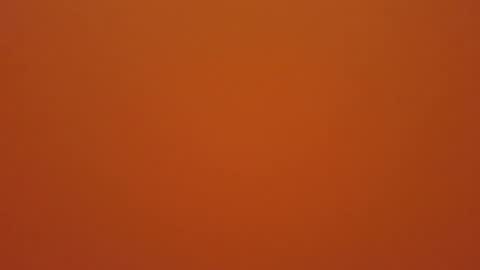 hundeleine online show from 12-19-25, 11:28