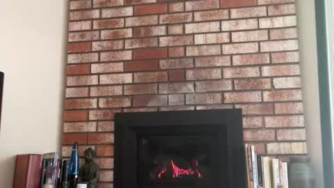 Snapshot of hung_well57 chatting on 04-08-26, 04:51 hung_well57 online show from 04-08-26, 04:51