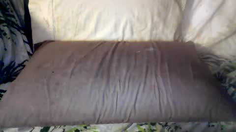 Snapshot of hungc2c420 chatting on 06-12-26, 08:02 hung420boner online show from 06-12-26, 08:02