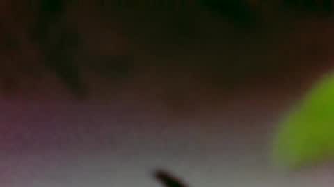 Snapshot of hungsubbb chatting on 11-26-25, 03:40 Boi online show from 11-26-25, 03:40