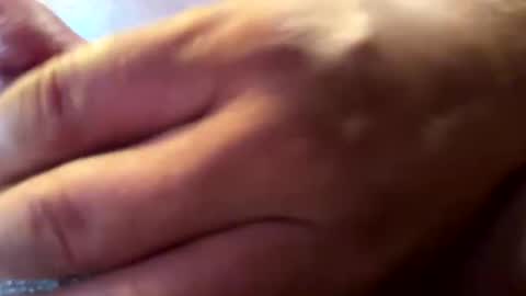 hvalbrecht online show from 01-12-25, 02:24