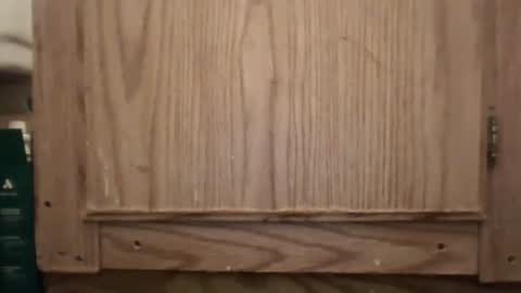 Hybrid Lover419 online show from 02-13-26, 05:36