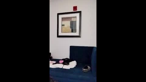 hydrakinglaser online show from 02-05-26, 02:05