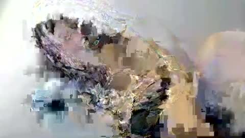 Snapshot of i_love_eula chatting on 02-12-25, 01:59 cant get you out of my head online show from 02-12-25, 01:59