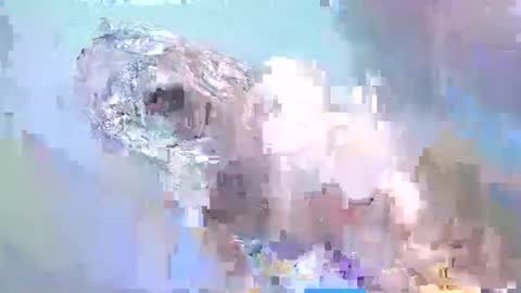 Snapshot of i_love_eula chatting on 02-15-25, 02:22 cant get you out of my head online show from 02-15-25, 02:22