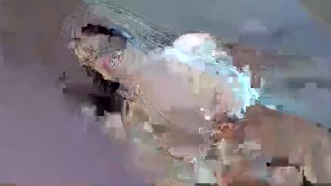 Snapshot of i_love_eula chatting on 09-12-25, 12:33 cant get you out of my head online show from 09-12-25, 12:33