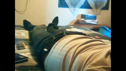 Snapshot of iagreeto chatting on 02-03-25, 01:30 iagreeto online show from 02-03-25, 01:30