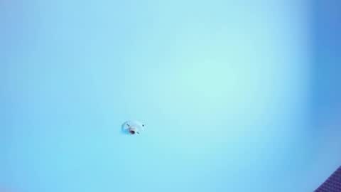 Snapshot of iam_naho chatting on 05-13-26, 09:44 NAHO online show from 05-13-26, 09:44