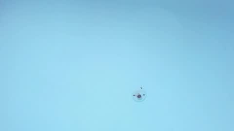 Snapshot of iam_naho chatting on 06-03-26, 09:42 NAHO online show from 06-03-26, 09:42