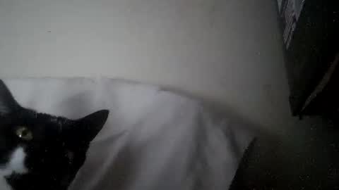 iamryan995442 online show from 04-07-26, 05:35