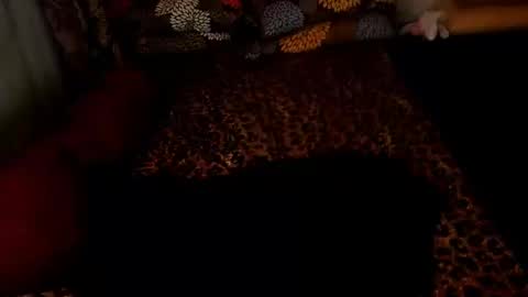 MADAM  MISTRESS ASIANA online show from 12-26-24, 02:27