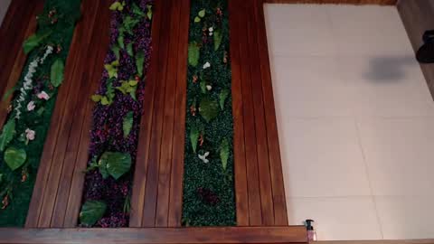 Ian Davis online show from 03-04-25, 07:54