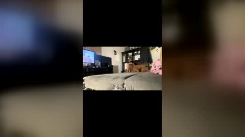 ibigboy666 online show from 04-20-26, 12:57