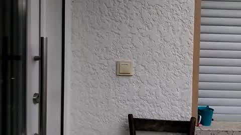 icheinfachich13 online show from 10-21-25, 08:26