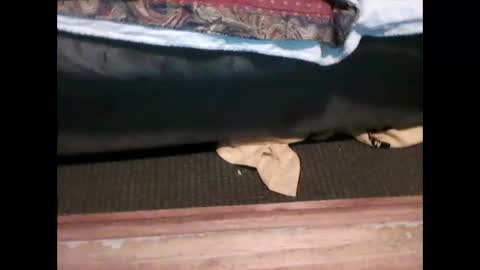 Snapshot of idkwhyidothis348732 chatting on 01-05-25, 06:02 idkwhyidothis348732 online show from 01-05-25, 06:02