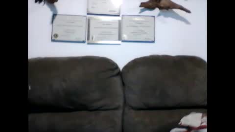 Snapshot of idkwhyidothis348732 chatting on 02-11-25, 12:05 idkwhyidothis348732 online show from 02-11-25, 12:05