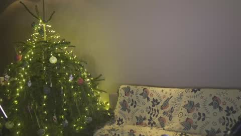 Belle online show from 01-04-25, 04:11