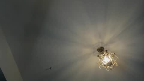 Igor scott online show from 02-16-25, 04:42