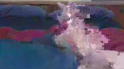 ihavebigballs00 online show from 12-17-24, 03:06