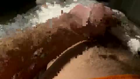 Snapshot of ihor6550 chatting on 02-06-26, 02:49 Tornado online show from 02-06-26, 02:49