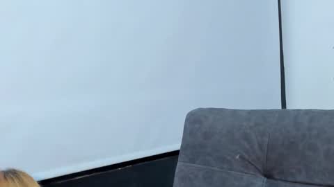    online show from 03-12-25, 10:59