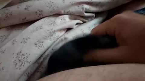 ilovepussy1974 online show from 07-27-26, 11:28