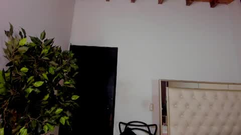 FELIX online show from 05-01-26, 11:48