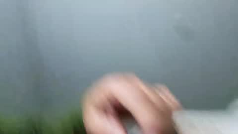 im_free_0121 online show from 11-02-25, 11:45