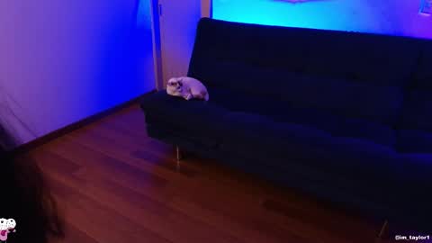 Snapshot of imtaylor__ chatting on 10-24-25, 01:03 TAYLOR online show from 10-24-25, 01:03