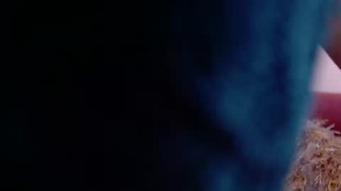 incredible_foxxy online show from 08-06-26, 04:03