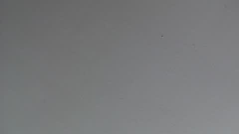 Indiana Joe 69 and Friend online show from 01-11-25, 03:13