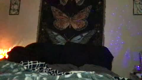 Indigo Bay online show from 01-10-25, 12:17