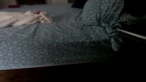 Snapshot of insatiablecpl333 chatting on 01-23-25, 02:07 InsatiableCpl333 online show from 01-23-25, 02:07