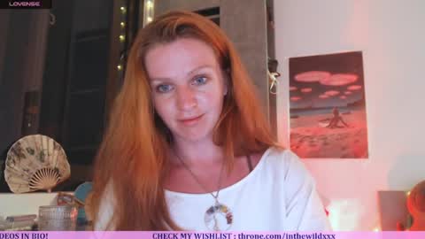 Snapshot of inthewildxxx chatting on 05-31-26, 12:56 Cassie online show from 05-31-26, 12:56