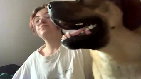 Snapshot of intothewoodswego chatting on 05-25-26, 01:39 IntoTheWoodsWeGo online show from 05-25-26, 01:39