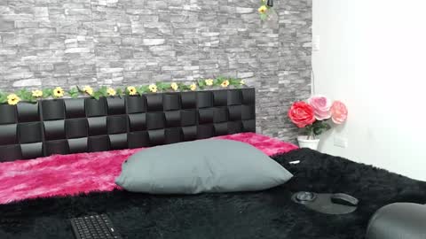 Snapshot of iris_joi chatting on 01-23-25, 06:49 Iirs online show from 01-23-25, 06:49