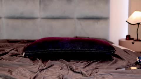 Snapshot of iris_nightingale chatting on 12-20-24, 07:55 Rhaenyra online show from 12-20-24, 07:55